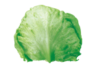 C[W