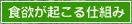 H~Ndg