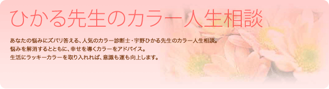 Ђ搶̃J[lk