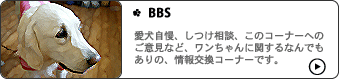 BBS