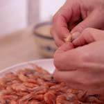 �����C���[�W5