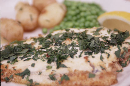 ���������ʐ^