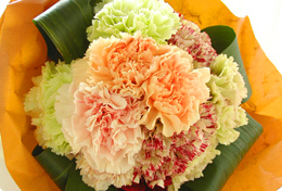カーネーション花束